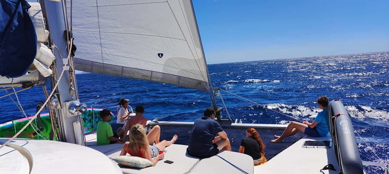 Tenerife: PRIVATE Catamaran cruise with Lunch and Drinks - South Tenerife private catamaran, San Miguel Marina to boat-only calm