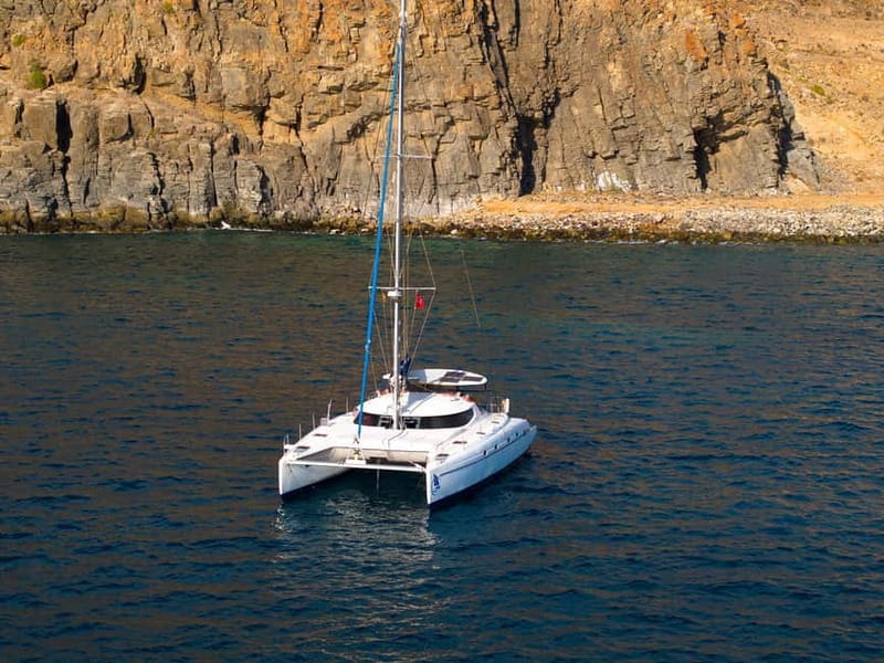 Tenerife: PRIVATE Catamaran cruise with Lunch and Drinks - Dolphins, whales, and Tenerife cliffs from the water