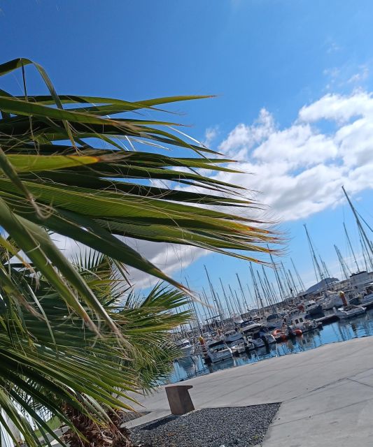 Tenerife: PRIVATE Catamaran cruise with Lunch and Drinks - Drinks and service: why the crew matters more than the brochure