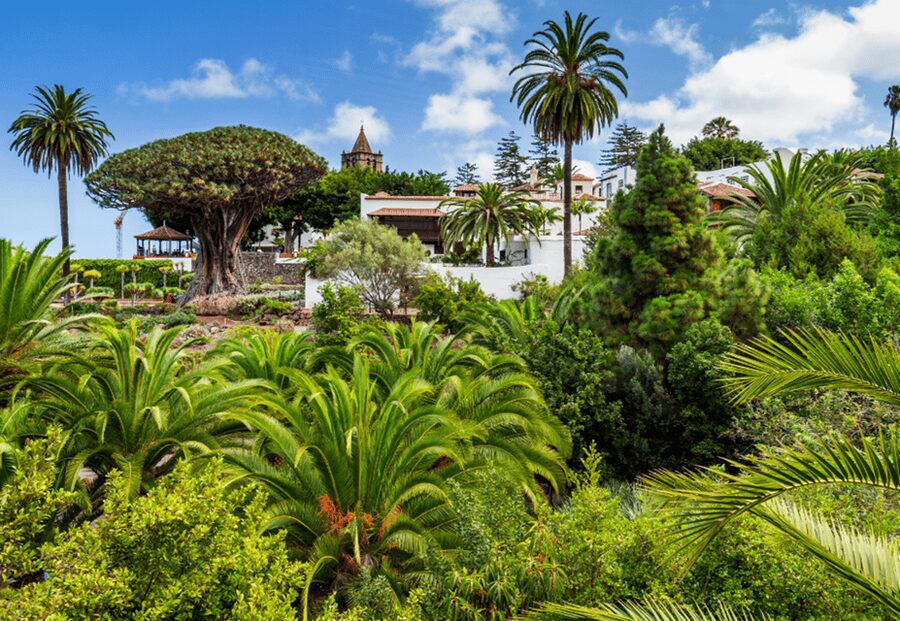 Tenerife: Private Day Tour of the Island with Hotel Pickup - San Cristóbal de La Laguna and La Orotava: UNESCO streets to historic charm