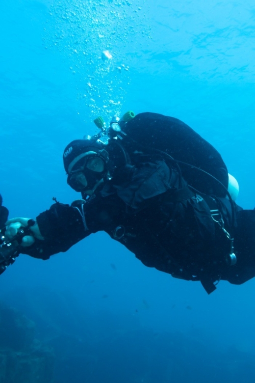 Tenerife : Private Dive for Beginners from a Boat - The Boat Ride: Going to a Beginner-Friendly Site in a Relaxed Atmosphere