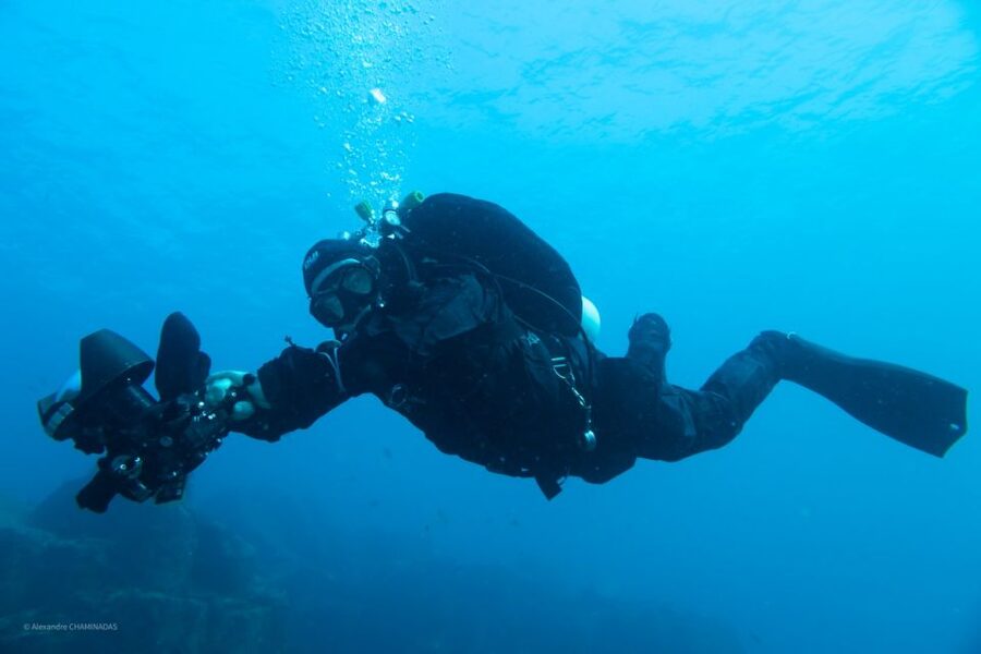 Tenerife : Private Dive for Beginners from a Boat - Your First Accompanied Underwater Session: How It Feels When You Have Support