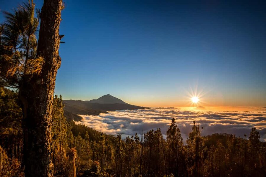 Tenerife: Private Island Tour with Breakfast & Lunch - Key things that make this tour work