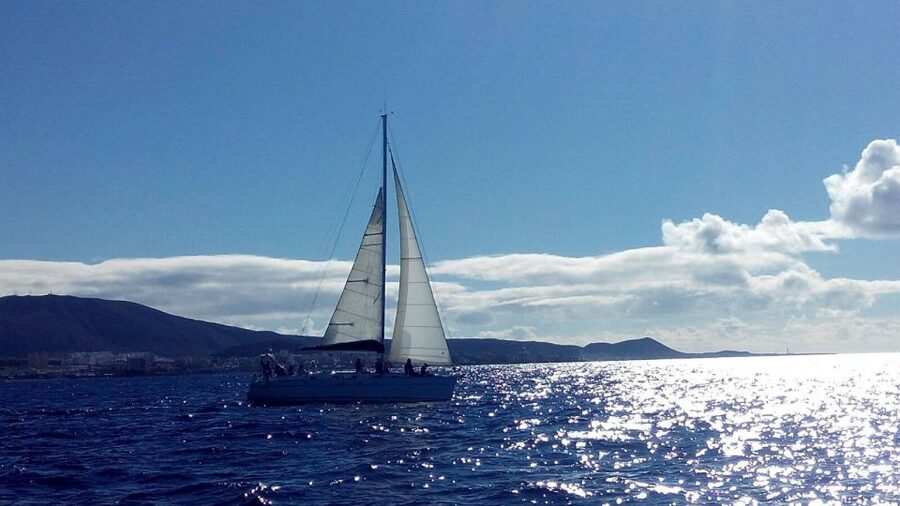 Tenerife: Private or Group 3 Hour Sailing Cruise with Drinks - Dolphins, whales, and the wildlife search you can actually enjoy