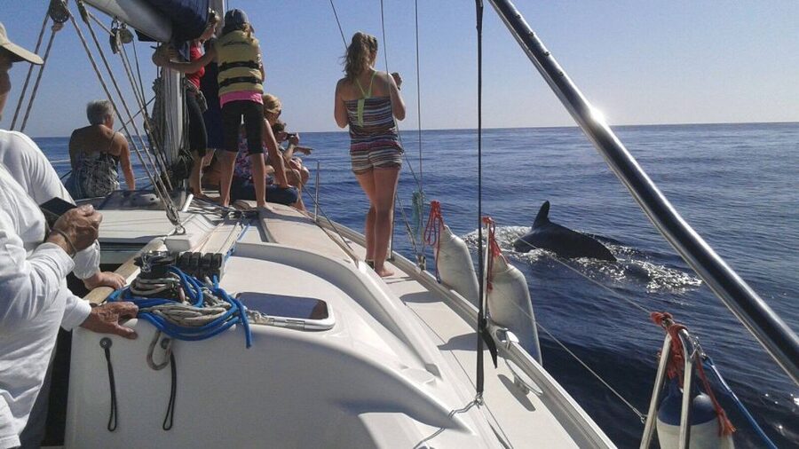 Tenerife: Private or Group 3 Hour Sailing Cruise with Drinks - Included drinks on deck, especially when the sun is strong