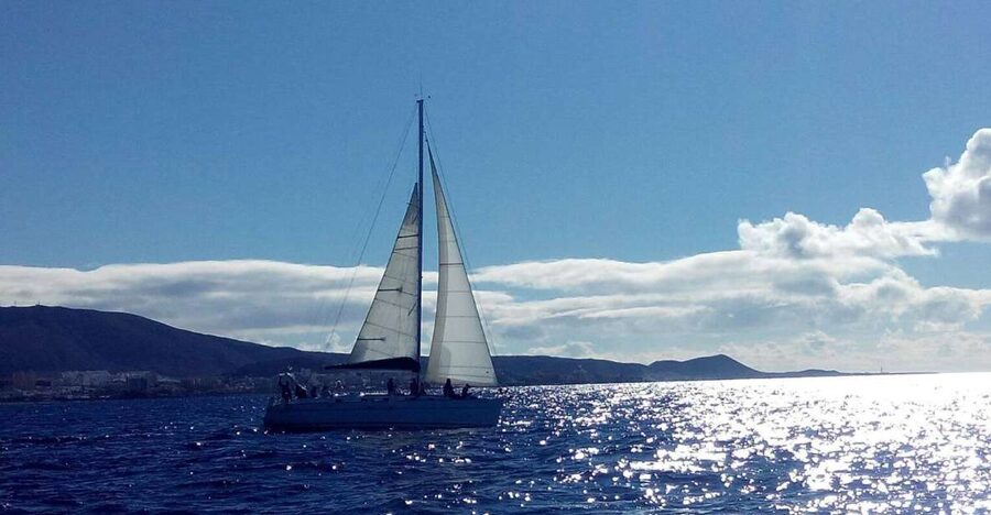 Tenerife: Private or Group 3 Hour Sailing Cruise with Drinks - The sea swim moment, and how to handle it if timing changes