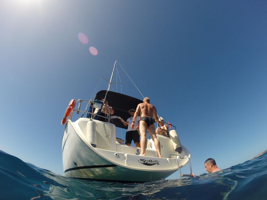 Tenerife: Private or Group 3 Hour Sailing Cruise with Drinks - What the crew shares about the Canary Islands