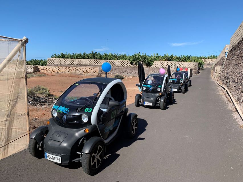Tenerife: Private Renault Twizy Tour - Chinyero Lava Fields, Then a Cafe Break for Real Canarian Flavor