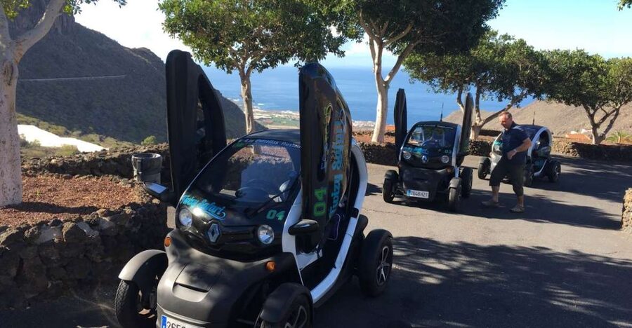 Tenerife: Private Renault Twizy Tour - Banana Plantation Visit: How Export Fruit Gets Grown Here