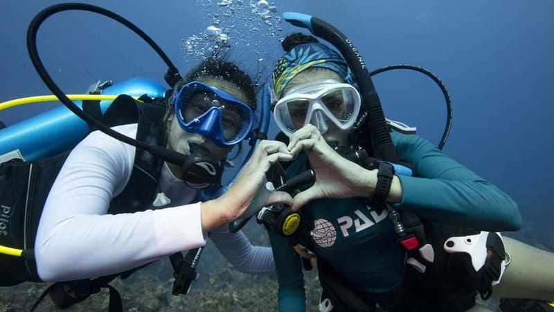 Tenerife: Private Scuba Diving–Certified Instructor & Photos - The briefing and equipment setup: step-by-step, not guesswork