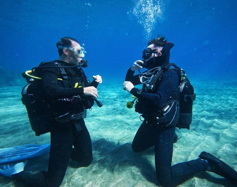 Tenerife: Private Scuba Diving–Certified Instructor & Photos - Los Cristianos pickup and the short ride to the water