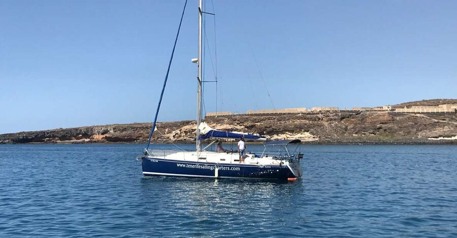 Tenerife: Private Sunset Charter with Drinks and Tapas - Whale and dolphin spotting: how to get the most out of it