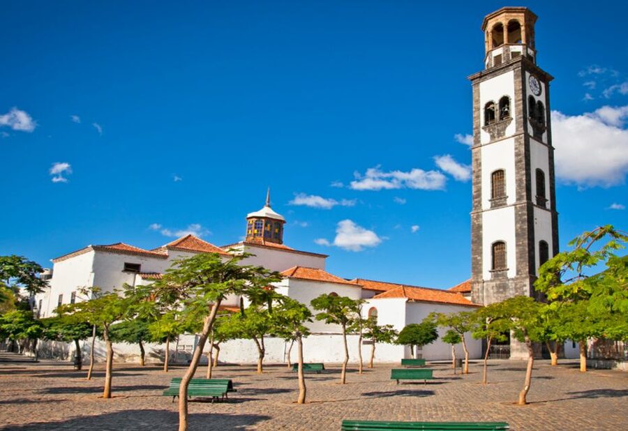 Tenerife: Private Taganana and Anaga Day Trip with Pickup - Key Things You’ll Notice on This Private Anaga Day Trip