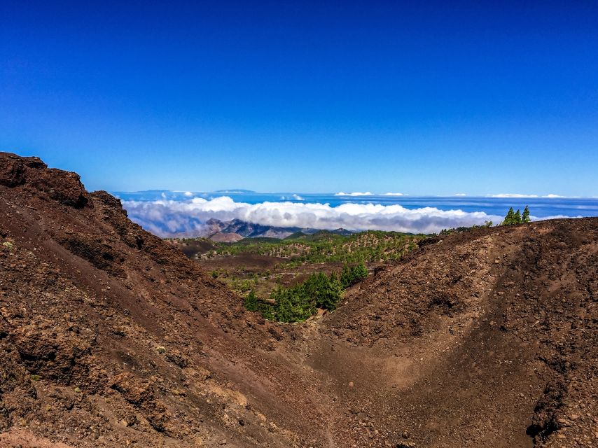 Tenerife Private Tour: Full-Day Volcanic South - South Tenerife Volcanism, Explained in Plain Human Terms