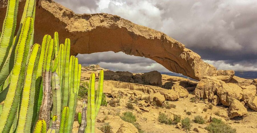 Tenerife Private Tour: Full-Day Volcanic South - Arico Nuevo: The Quiet Village Stop That Changes the Mood