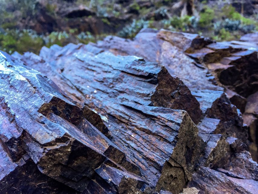 Tenerife Private Tour: Full-Day Volcanic South - Arona Panoramas: Over 90 Volcanic Formations and Endemic Plant Clues
