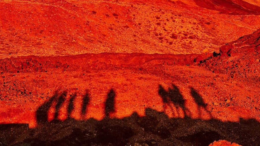 Tenerife: Private VIP Tour Teide National Park - Corona Forestal Nature Park and Pino Gordo, photos plus plant curiosity
