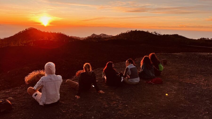 Tenerife: Private VIP Tour Teide National Park - From Tenerife’s south up to 2,400 meters, watching vegetation change