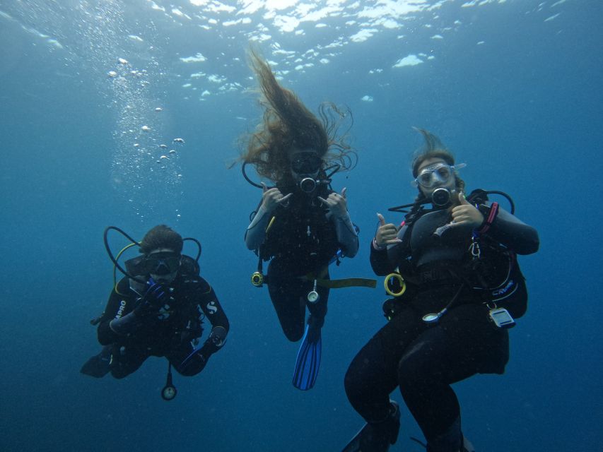 Tenerife: Puerto Colon Certified Scuba Dive by Speed Boat - Arriving at Zero Gravity Tenerife, and Why the First 30 Minutes Matter