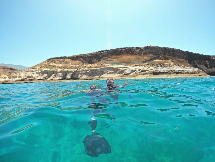 Tenerife: Puerto Colon Snorkel Safari by Speed Boat - Quick hits before you go