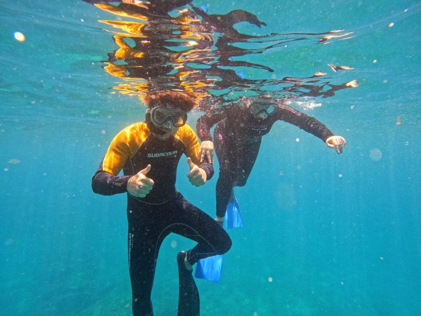 Tenerife: Puerto Colon Snorkel Safari by Speed Boat - The 15-minute speed boat ride along Tenerife’s south coast