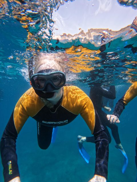 Tenerife: Puerto Colon Snorkel Safari by Speed Boat - If conditions change: when the crew might adjust your plan