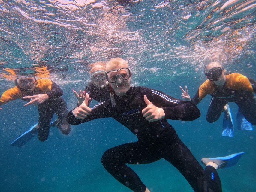 Tenerife: Puerto Colon Snorkel Safari by Speed Boat - Safety briefing and wetsuit fitting: the part that decides your comfort