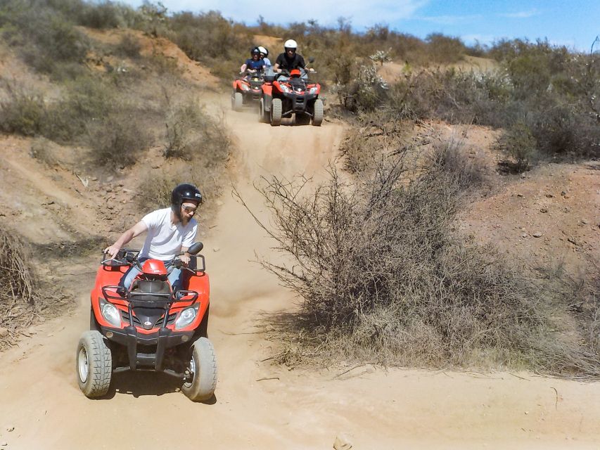 Tenerife: Quad Adventure Tour in Teide National Park - Who should book this quad adventure, and who should not