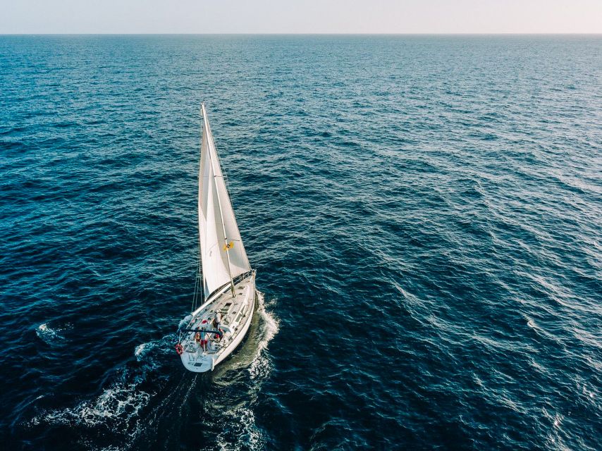 Tenerife: Sailboat Tour Whale Watching Food and Snorkeling - Key things I’d bank on before you book