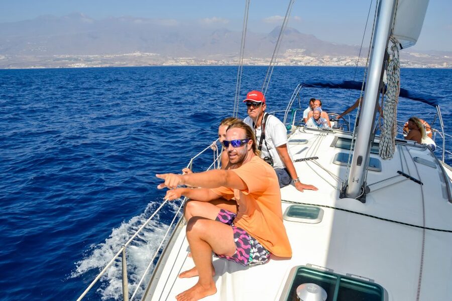 Tenerife: Sailboat Tour Whale Watching Food and Snorkeling - When the sea gets rough: one realistic heads-up