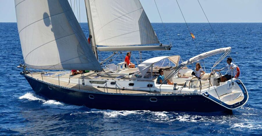 Tenerife: Sailing Excursion with Whale and Dolphin Watching - Finding pilot whales and dolphins along Tenerife’s southern coastline