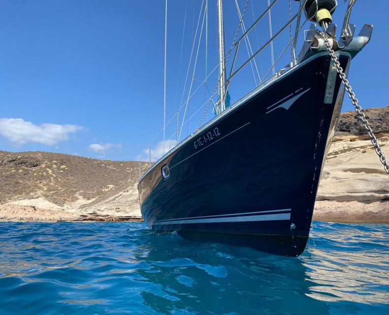 Tenerife: Sailing Excursion with Whale and Dolphin Watching - Price and value: is $88 worth it for a 3-hour yacht wildlife trip?