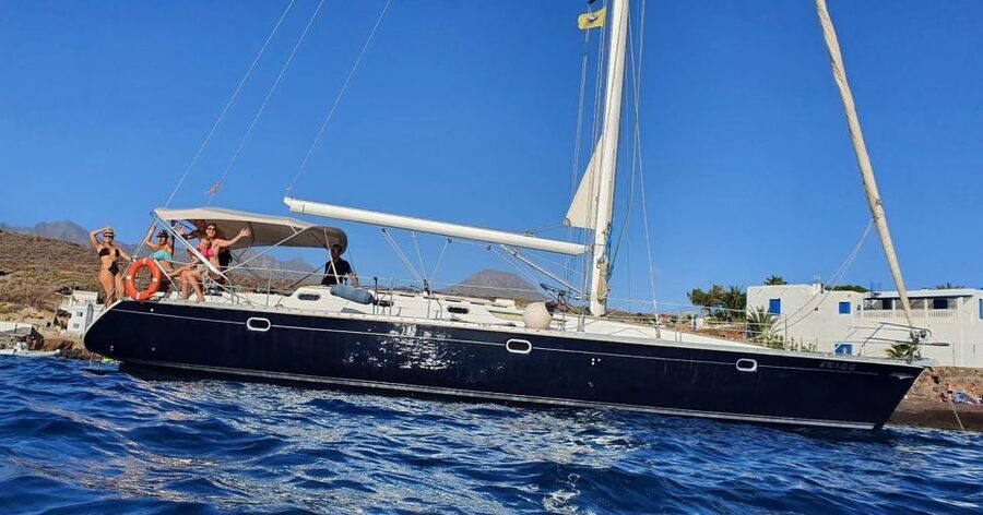 Tenerife: Sailing Excursion with Whale and Dolphin Watching - Who should book this sailing excursion, and who should think twice