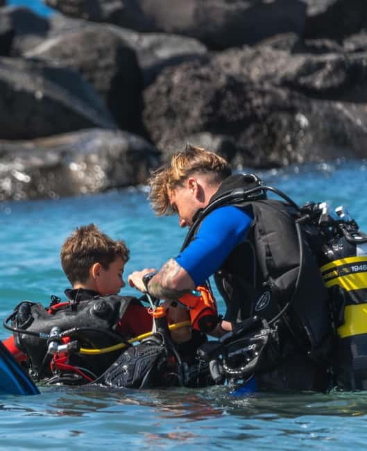 Tenerife: Scuba Dive & Fun, Discover the Magic of the Ocean - Quick take: why this Tenerife scuba check-out is worth your time