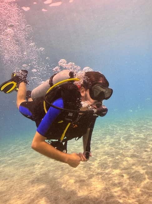 Tenerife: Scuba Dive & Fun, Discover the Magic of the Ocean - The open-water swim at Playa Las Vistas: what you’ll actually see