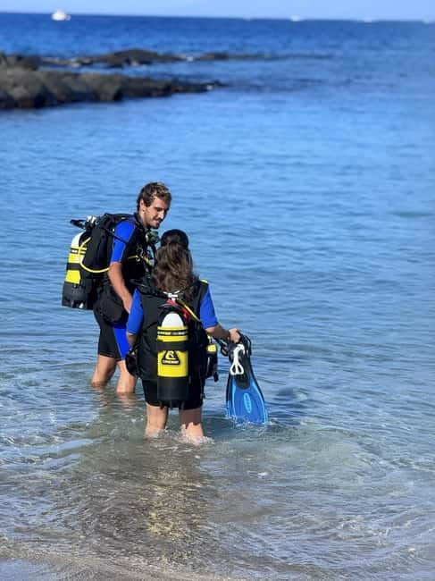 Tenerife: Scuba Dive & Fun, Discover the Magic of the Ocean - Wildlife viewing, photos, and your first-dive keepsake