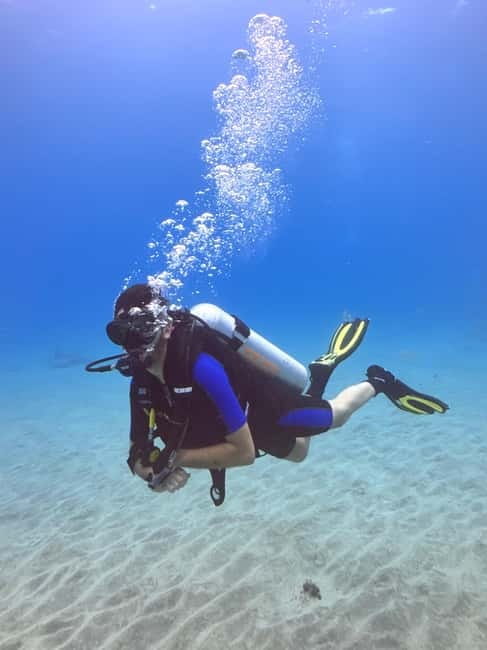 Tenerife: Scuba Dive & Fun, Discover the Magic of the Ocean - Who should book this Tenerife scuba experience, and who shouldn’t