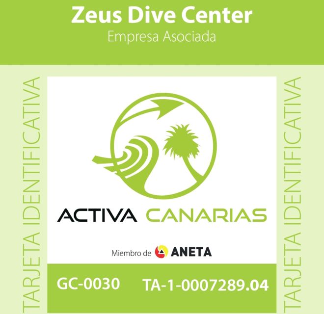 Tenerife Scuba Diving for Certified Divers - The 6-Hour Flow: Pickup, Safety Briefing, and Two Sessions