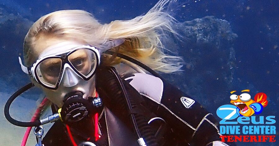 Tenerife Scuba Diving for Certified Divers - Price and Value: Is $106 a Good Deal?