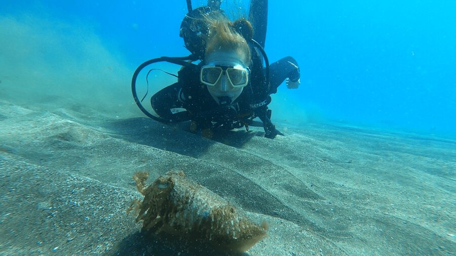 Tenerife: Scuba Diving Lesson and Abades Protected Area Dive - Gear setup: what’s included and how to avoid the common first-timer stress