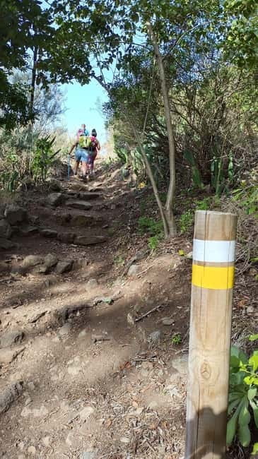 Tenerife: Senderismo Anaga, Bosque Mágico, Reserva Biosfera - Key highlights worth knowing