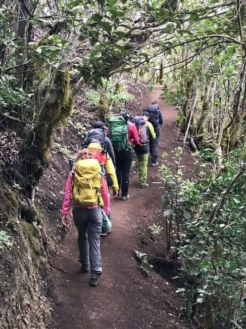 Tenerife: Senderismo Anaga, Bosque Mágico, Reserva Biosfera - Why Anaga Laurisilva and Bosque Mágico feel special