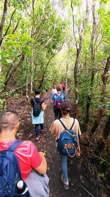 Tenerife: Senderismo Anaga, Bosque Mágico, Reserva Biosfera - Should you book Senderismo Anaga, Bosque Mágico, Reserva Biosfera?