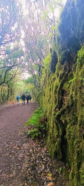 Tenerife: Senderismo Anaga, Bosque Mágico, Reserva Biosfera - The hike pace, group size, and why it matters to your comfort