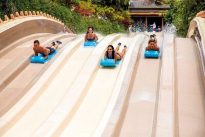 Siam Park Premium Full-Day Experience