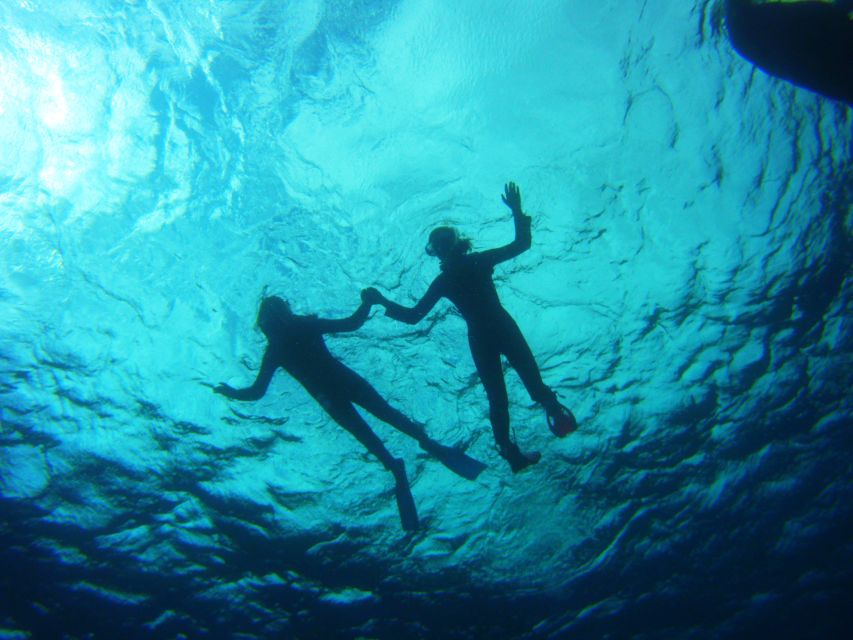 Tenerife: Snorkel with Turtles - Price and Value: Is $81 for 2 Hours Worth It?