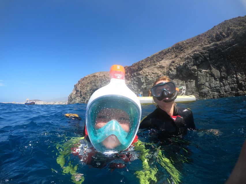 Tenerife Snorkeling boat trip in a Turtle Habitat - Key highlights worth getting excited about