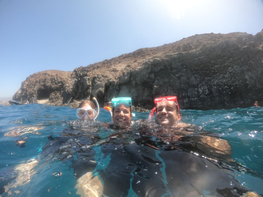 Tenerife Snorkeling boat trip in a Turtle Habitat - Snorkeling 50 minutes in Tenerife’s turtle habitat: what you might see
