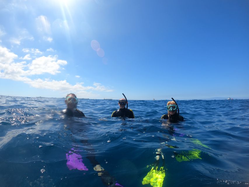 Tenerife Snorkeling boat trip in a Turtle Habitat - What makes this tour especially good for first-timers and families