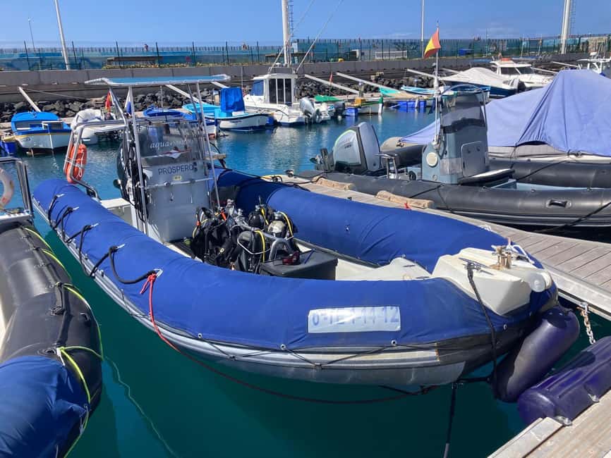 Tenerife: Snorkeling to look for Turtles and Rays - Key things I would watch for on this Tenerife snorkeling trip